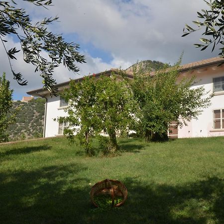 B&B Macchia D'Olmo Capaccio Bagian luar foto