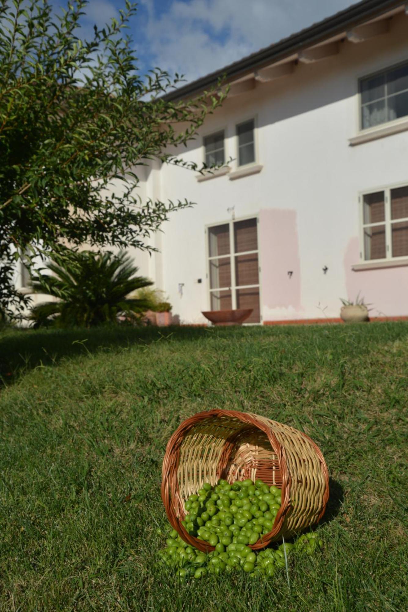 B&B Macchia D'Olmo Capaccio Bagian luar foto