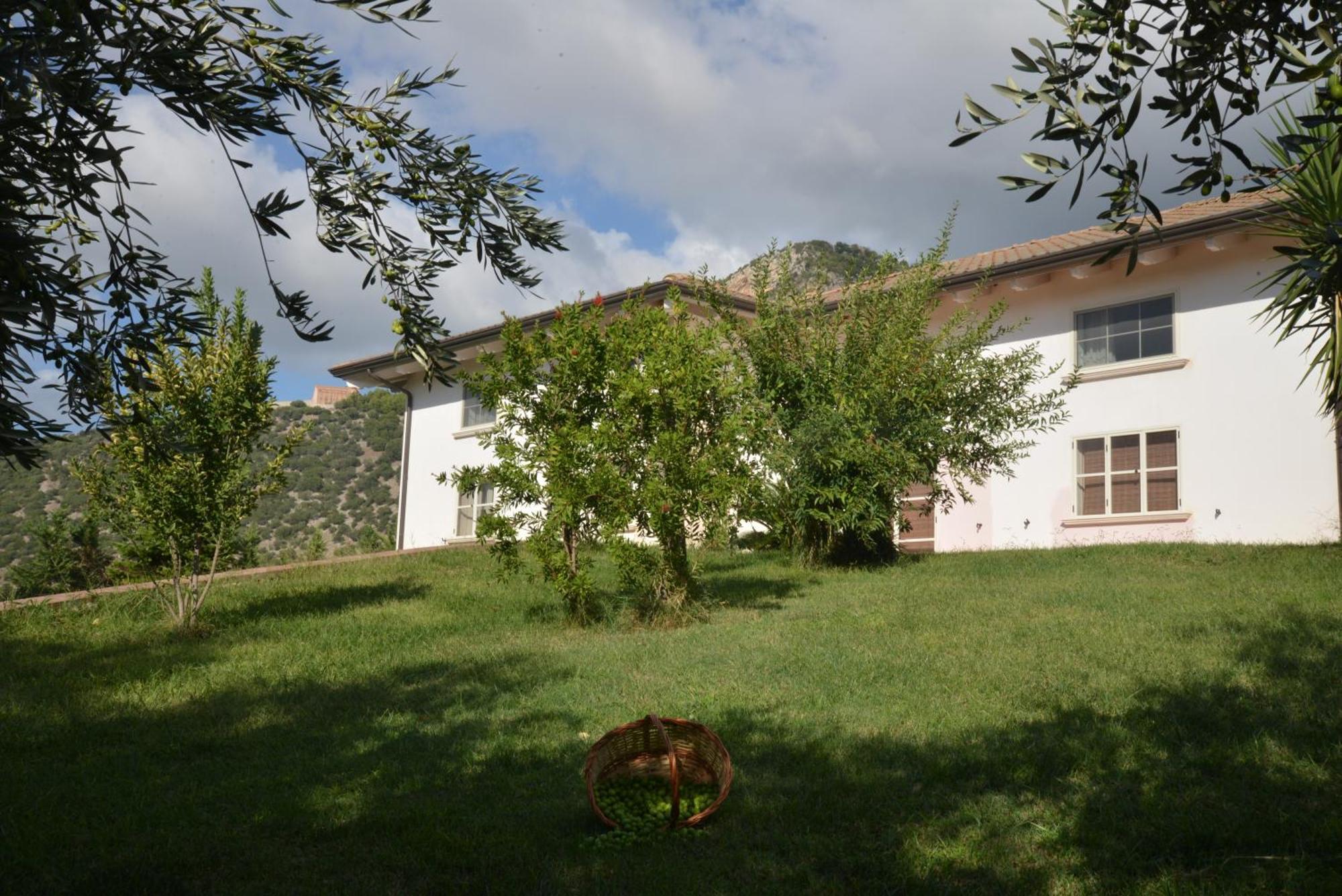 B&B Macchia D'Olmo Capaccio Bagian luar foto