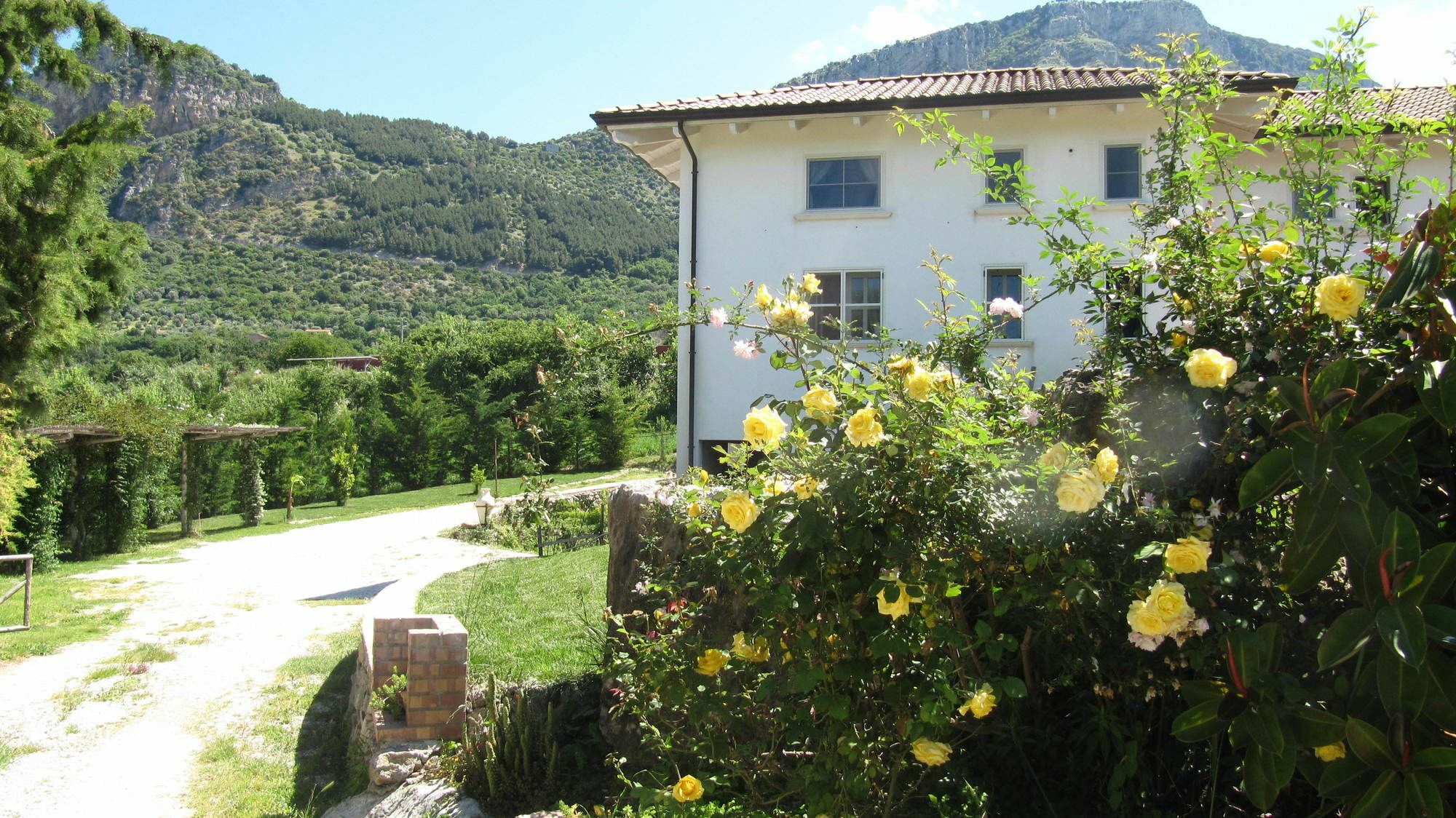 B&B Macchia D'Olmo Capaccio Bagian luar foto