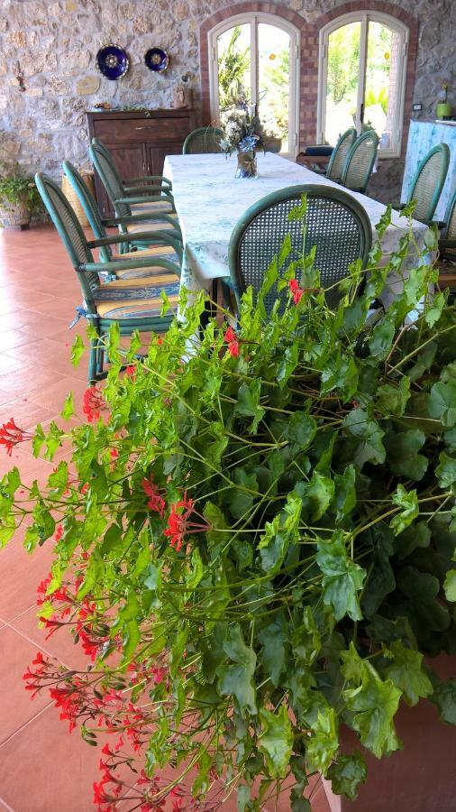B&B Macchia D'Olmo Capaccio Bagian luar foto