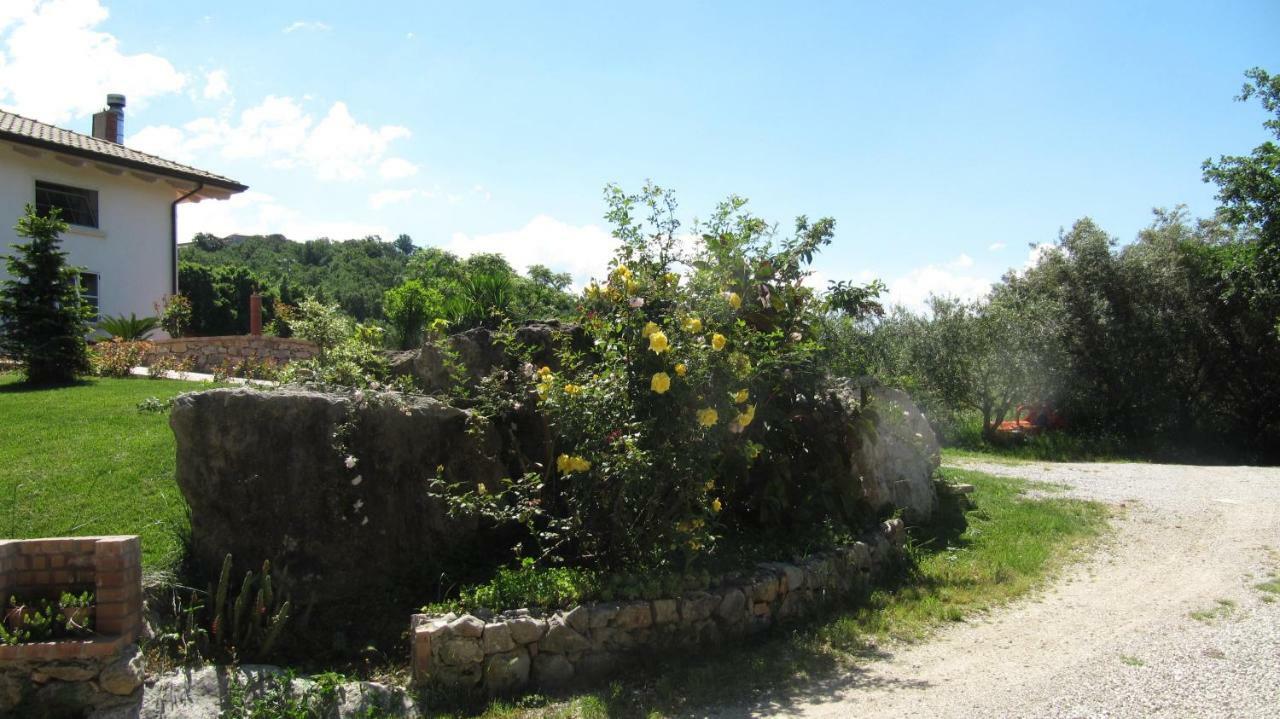 B&B Macchia D'Olmo Capaccio Bagian luar foto