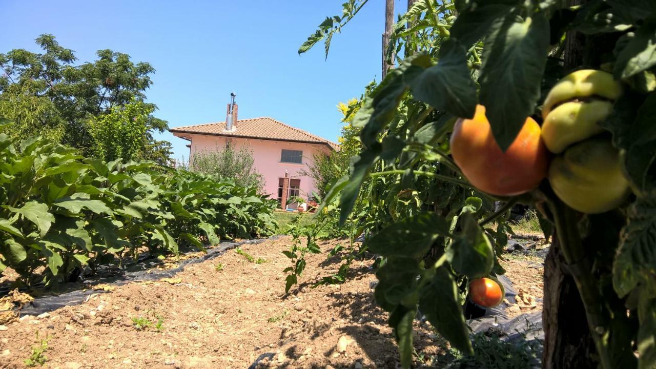 B&B Macchia D'Olmo Capaccio Bagian luar foto