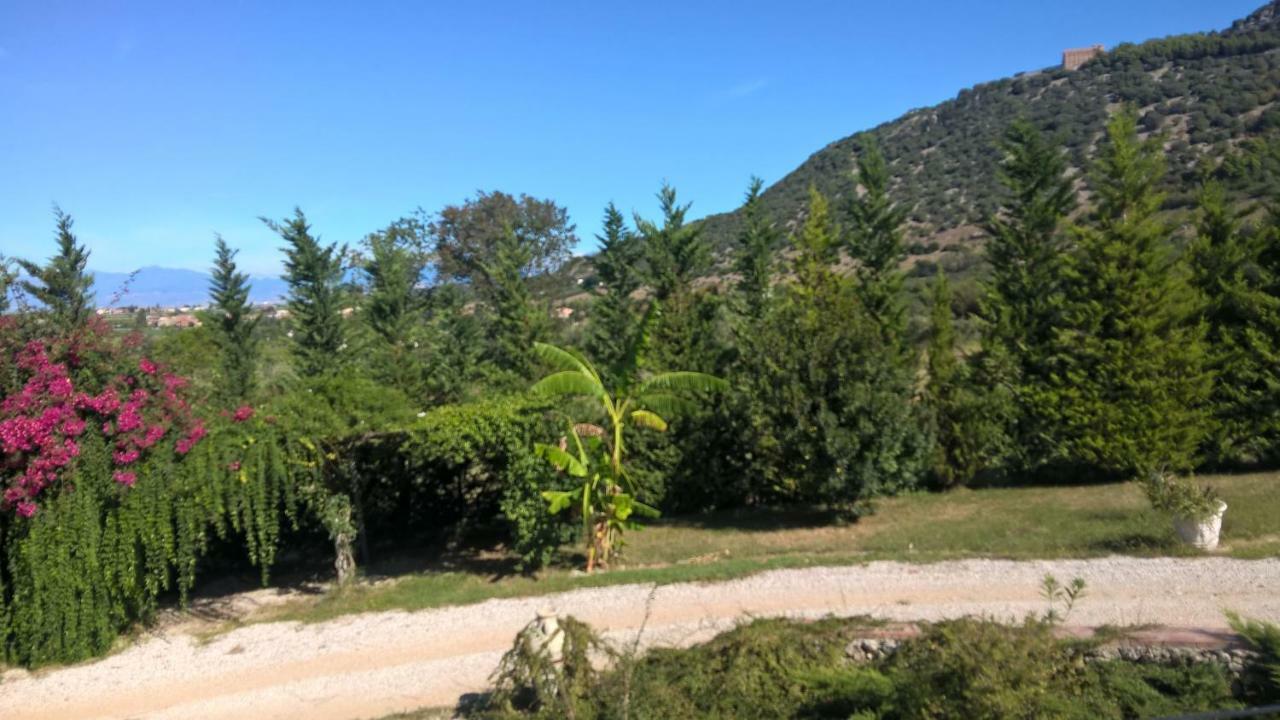 B&B Macchia D'Olmo Capaccio Bagian luar foto
