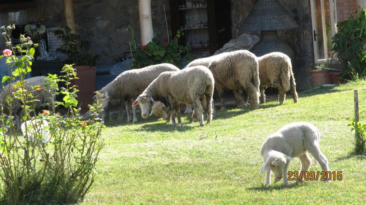 B&B Macchia D'Olmo Capaccio Bagian luar foto