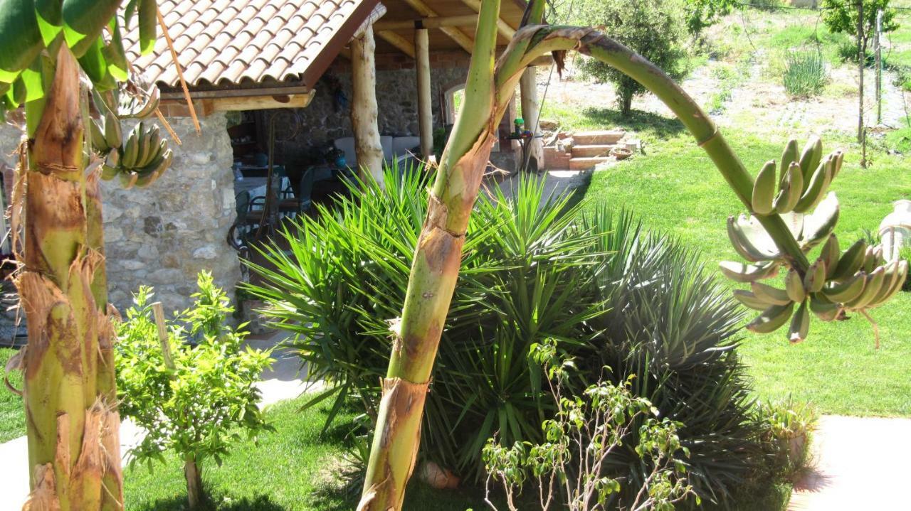 B&B Macchia D'Olmo Capaccio Bagian luar foto