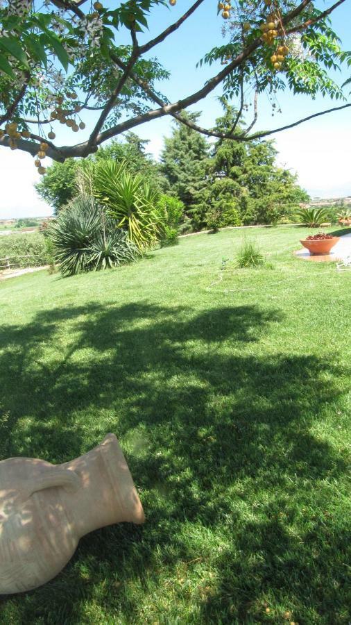 B&B Macchia D'Olmo Capaccio Bagian luar foto