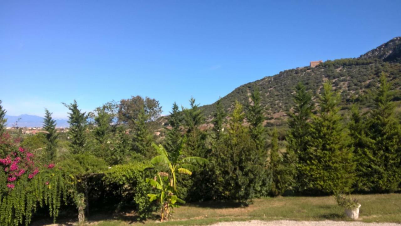 B&B Macchia D'Olmo Capaccio Bagian luar foto