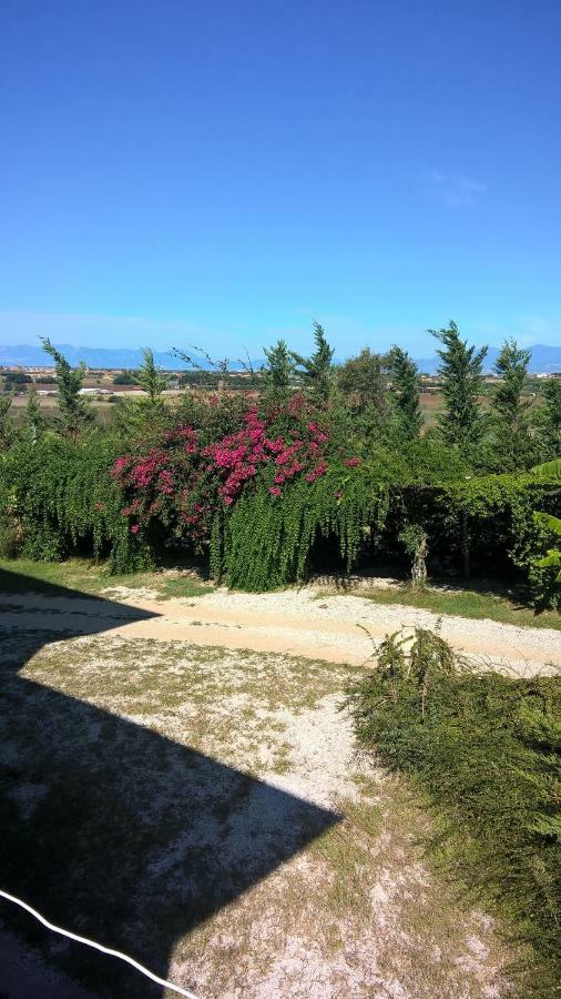B&B Macchia D'Olmo Capaccio Bagian luar foto
